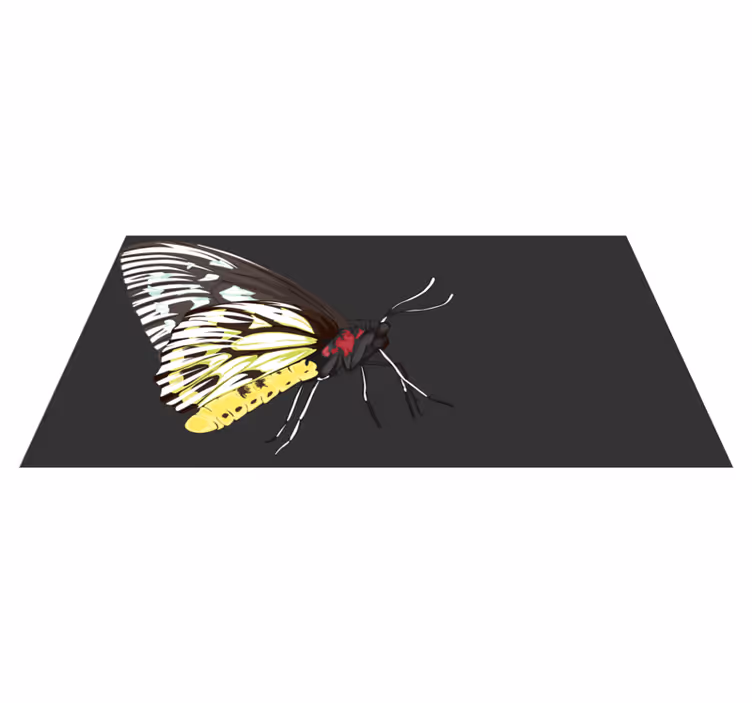 Fjärilsbilder Vinylmatta natur - Tenstickers