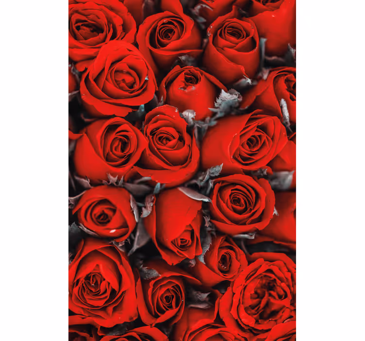 Tapet blommor röda rosor romantiska - Tenstickers