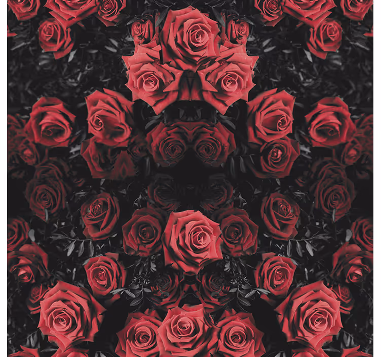 Tapet blommor vackra röda rosor - Tenstickers