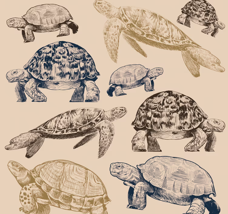 Sköldpaddor beige bakgrund djur tapeter - Tenstickers