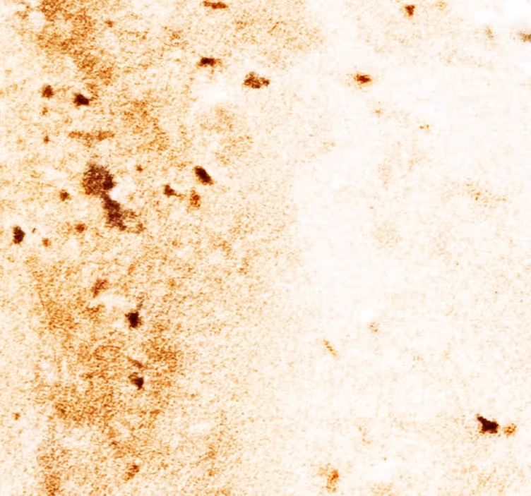 Mjuk marmor textur marmor tapet - Tenstickers