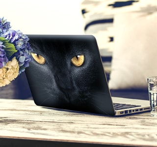 Bärbara datorer och tabletter