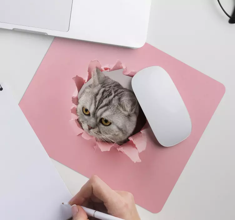 Cat bryter sig genom original musmatta - Tenstickers
