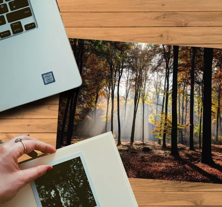 Sunshine lövverk träd original musmatta - Tenstickers