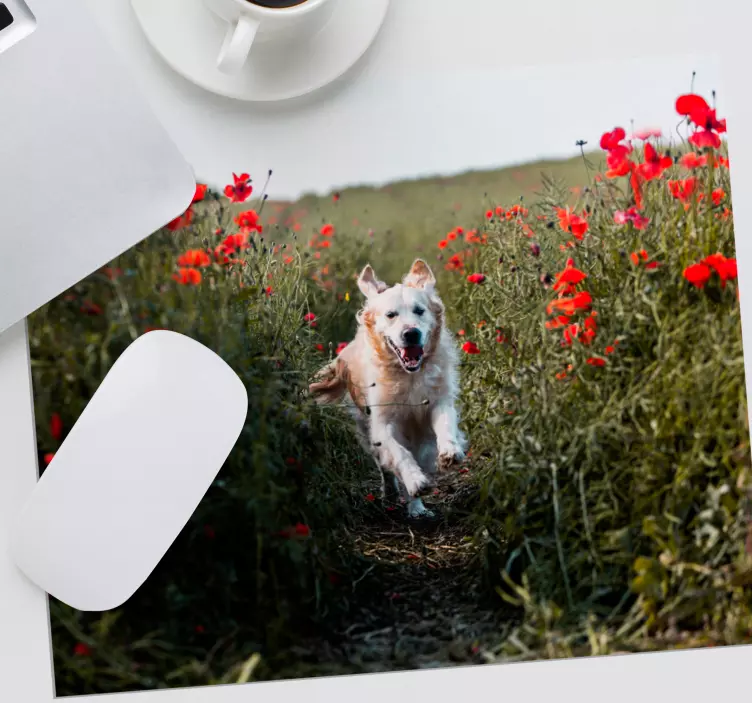 Original musmatta glad hund springer - Tenstickers