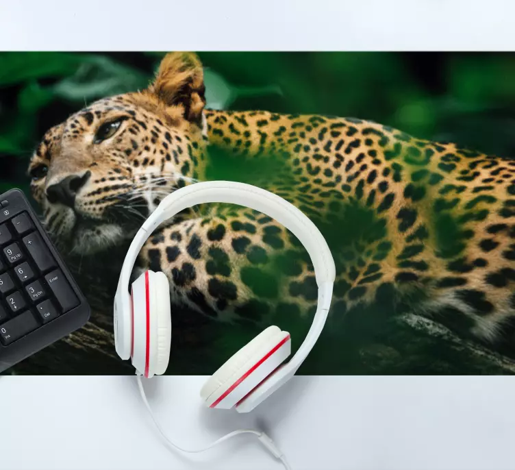 Original musmatta leopard ligger bekvämt - Tenstickers