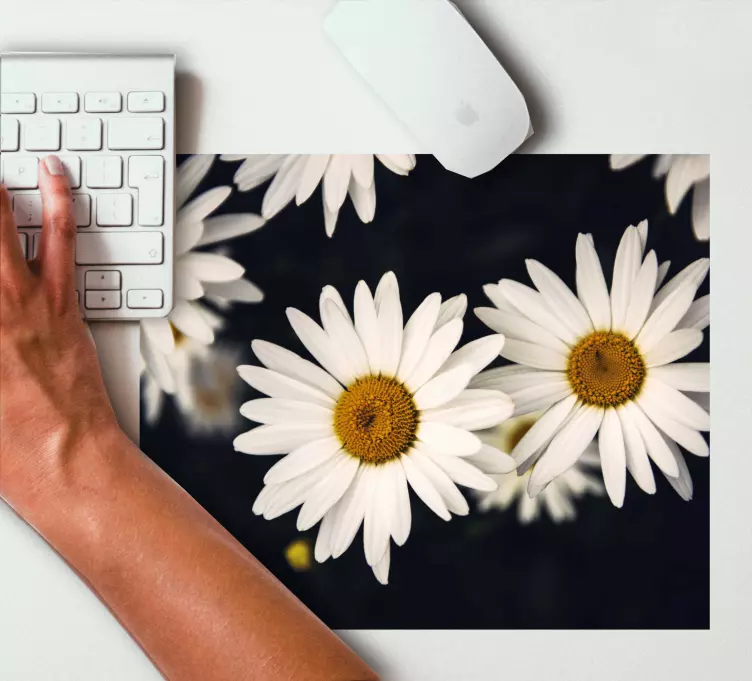 Original musmatta prästkragar på ytan - Tenstickers