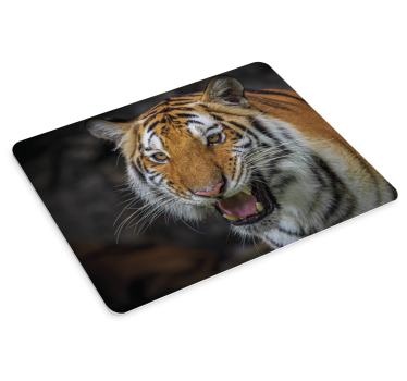 Tigerfoto originalmusmatta - Tenstickers