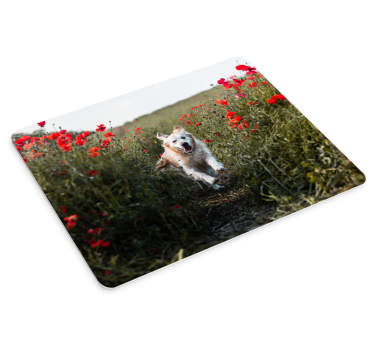 Original musmatta glad hund springer - Tenstickers
