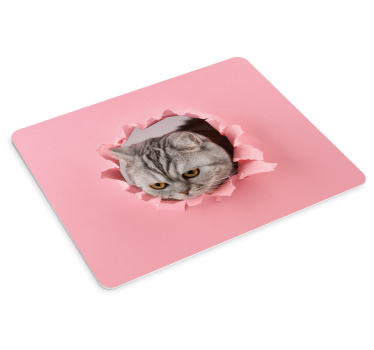 Cat bryter sig genom original musmatta - Tenstickers