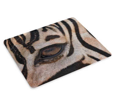 Original musmatta tigeröga närbild - Tenstickers