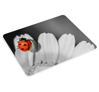 Original musmatta nyckelpiga på blomma - Tenstickers