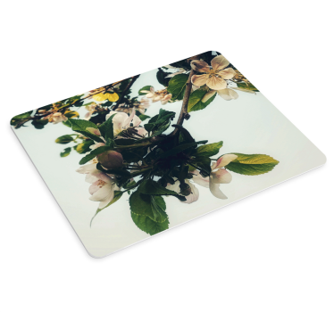 Original musmatta blommande äppelgren - Tenstickers