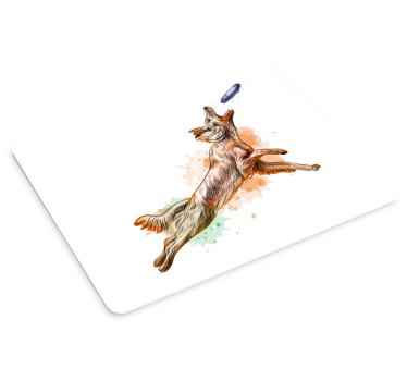 Original musmatta flygande hund som fångar - Tenstickers