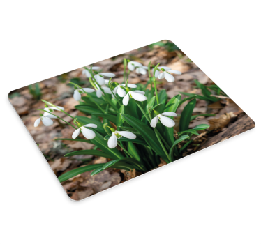 Original musmatta snödroppsbukett - Tenstickers