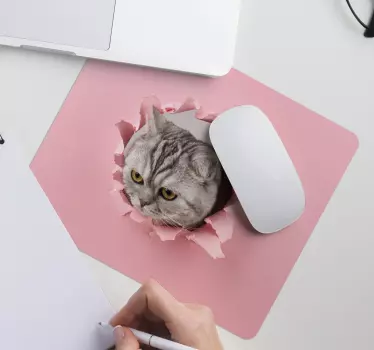 Cat bryter sig genom original musmatta - Tenstickers