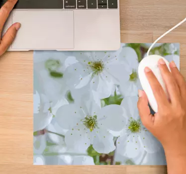 Original musmatta blommande körsbärsblommor - Tenstickers