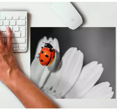 Original musmatta nyckelpiga på blomma - Tenstickers