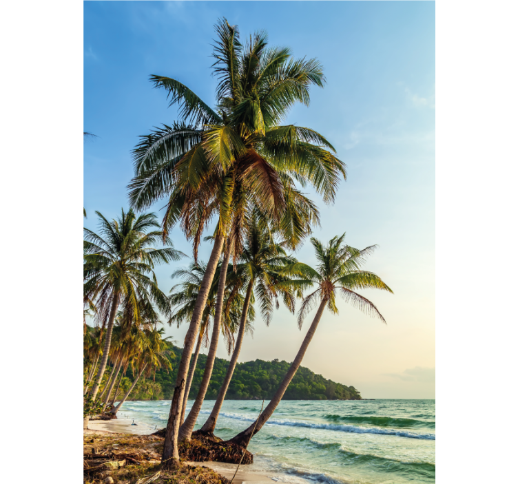 Palmer på stranden Rullgardin badrum - Tenstickers