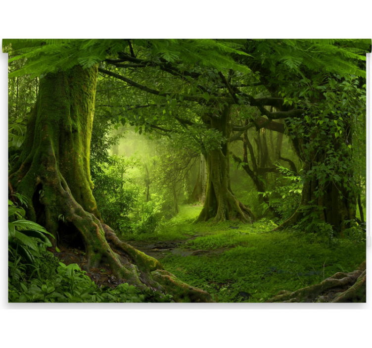 Rullgardin träd lummig skogsoas - Tenstickers