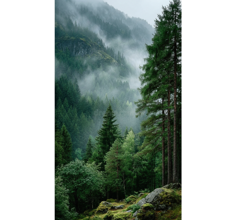 Rullgardin träd det stämningsfulla valet - Tenstickers