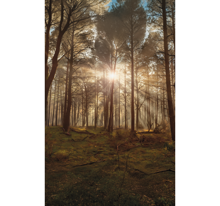 Rullgardin träd guldens vilda lounge - Tenstickers