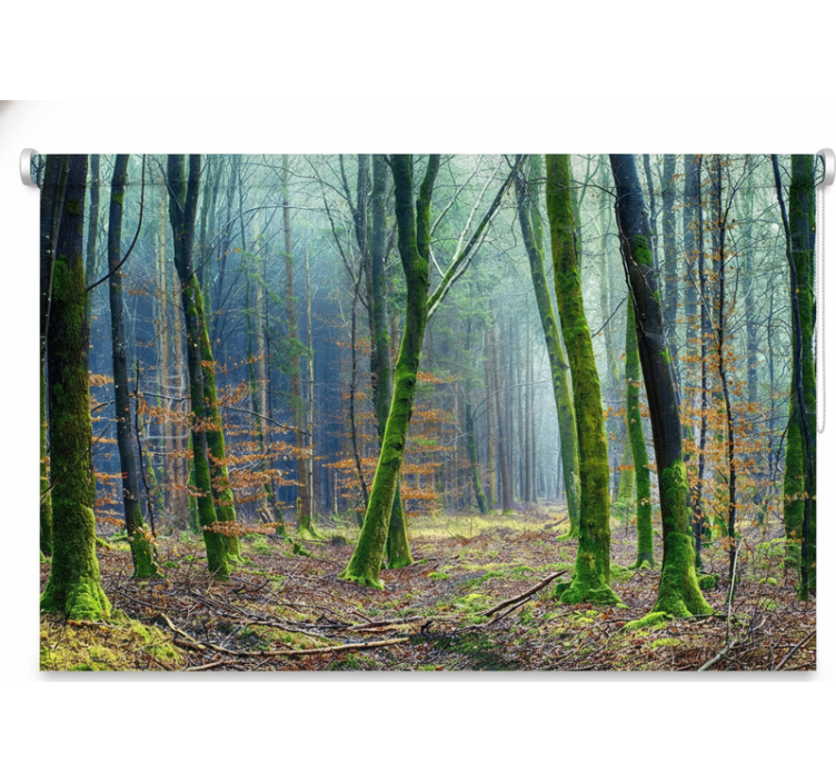 Rullgardin träd foggy forest japandi - Tenstickers