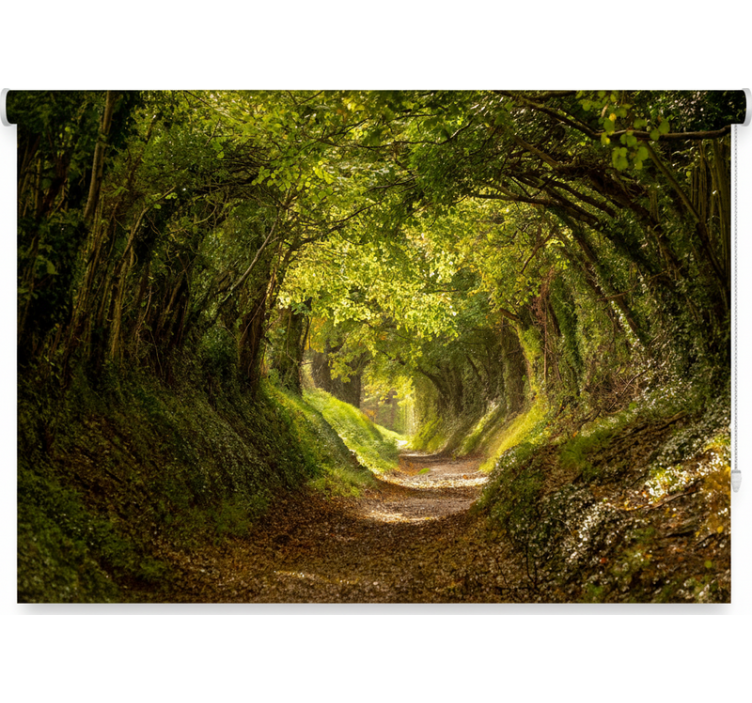 Rullgardin träd immersiv skogsvägg - Tenstickers