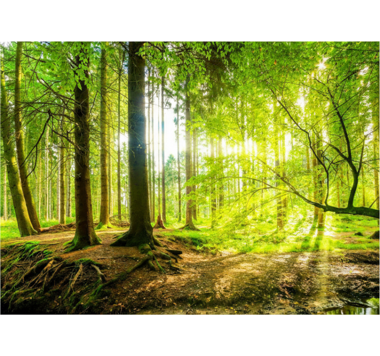 Rullgardin träd lummig bergsdal - Tenstickers