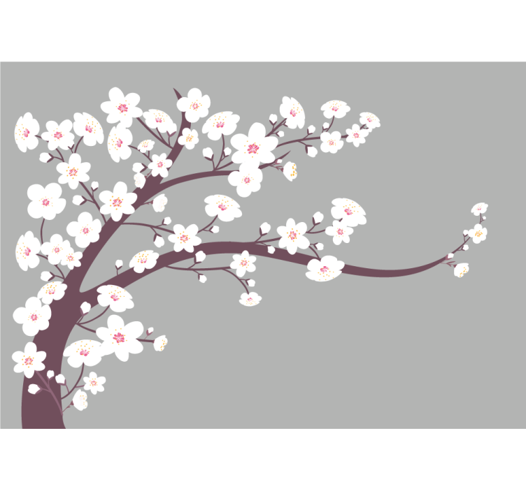 Rullgardin kök vita blommor med grå bakgrund - Tenstickers