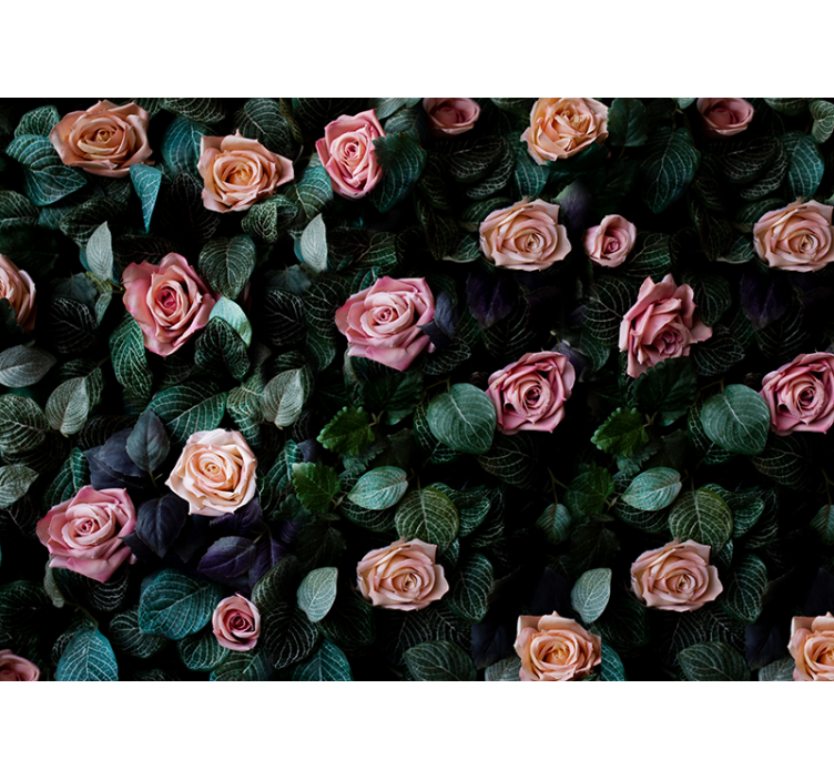 Rullgardin kök rosa korallrosor - Tenstickers