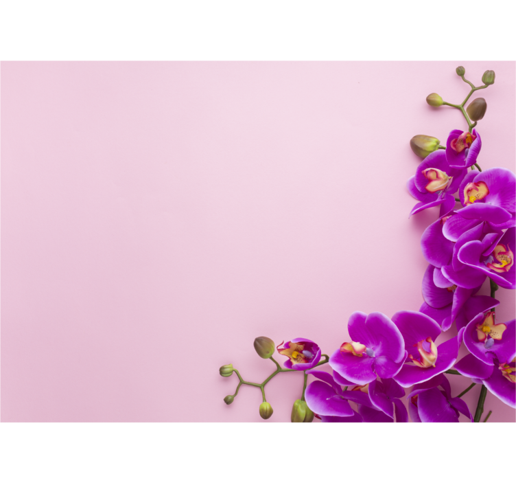 Rullgardin kök rosa bakgrund med orkidé - Tenstickers