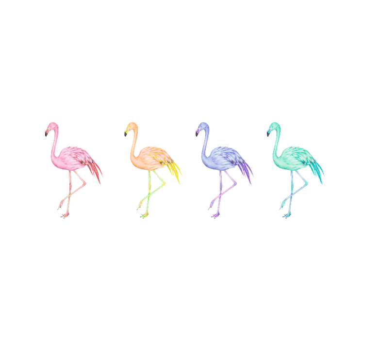 Vit rullgardin färgglada sömlösa flamingos - Tenstickers
