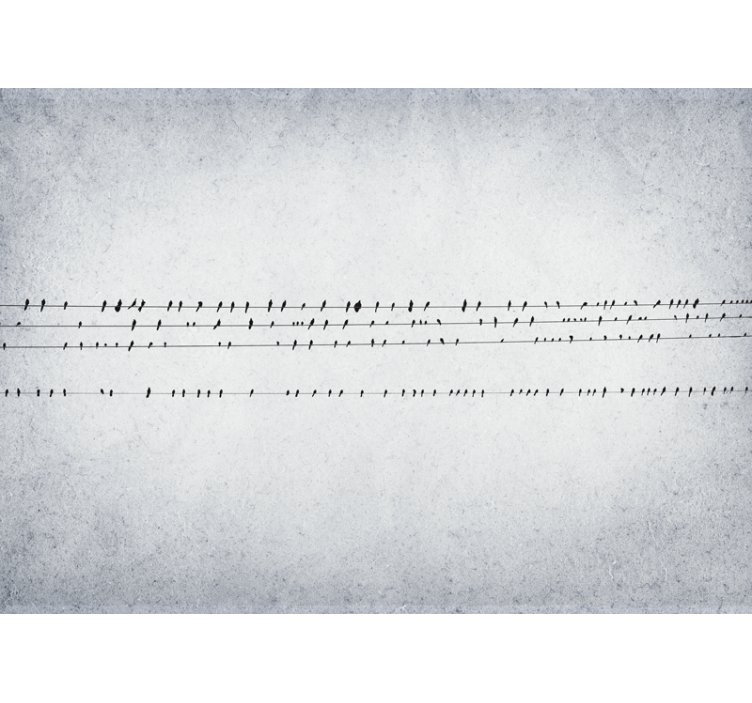 Vit rullgardin fågelkonsert på linjer - Tenstickers