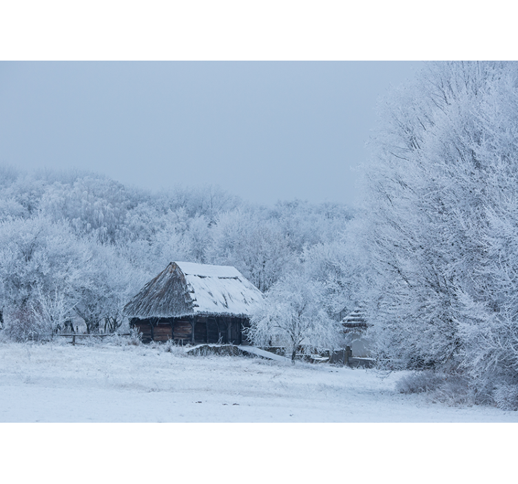 Vit rullgardin snöig innergård hemma - Tenstickers