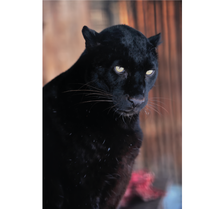 Rullgardin vardagsrum leopardjakt - Tenstickers