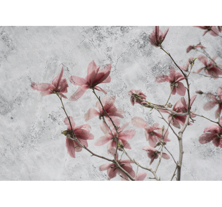 Rullgardin vardagsrum elegant glamorös magnolia design - Tenstickers