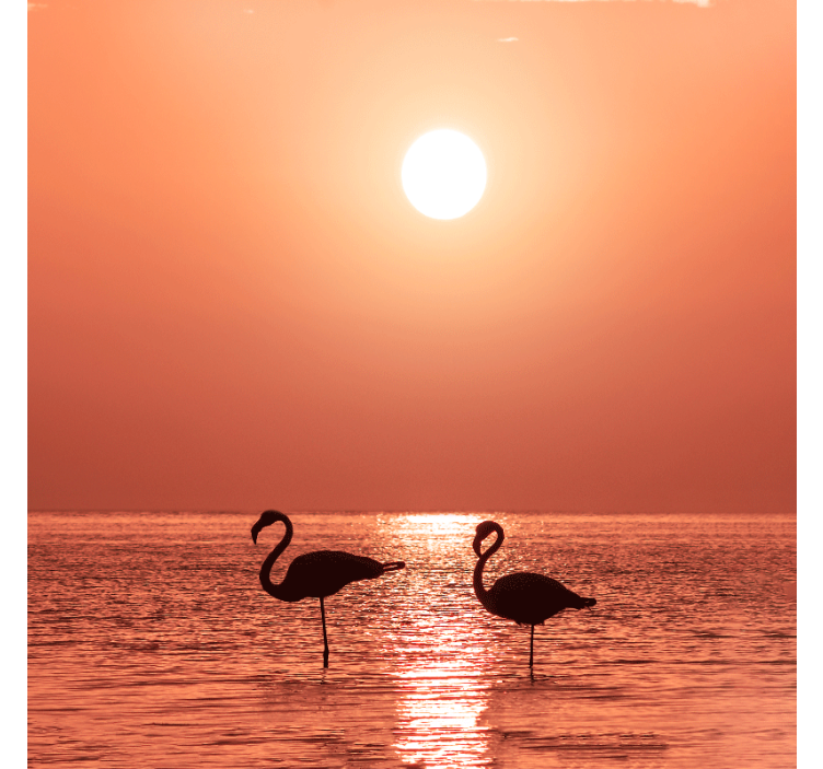 Rullgardin vardagsrum fin flamingo med solnedgång - Tenstickers