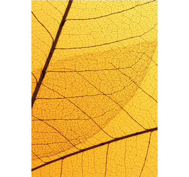Rullgardin gul med botaniskt bladdesign - Tenstickers