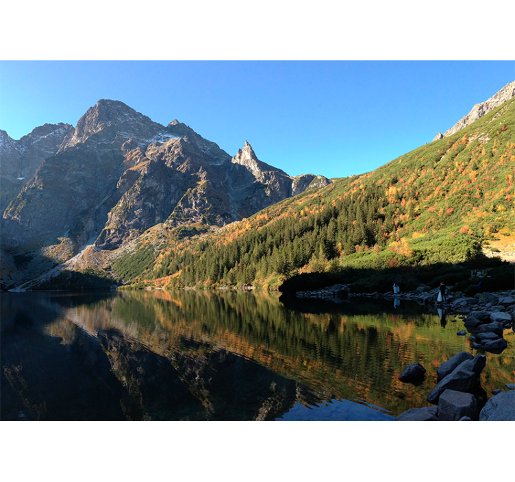 Rullgardin grön morskie oko på våren - Tenstickers