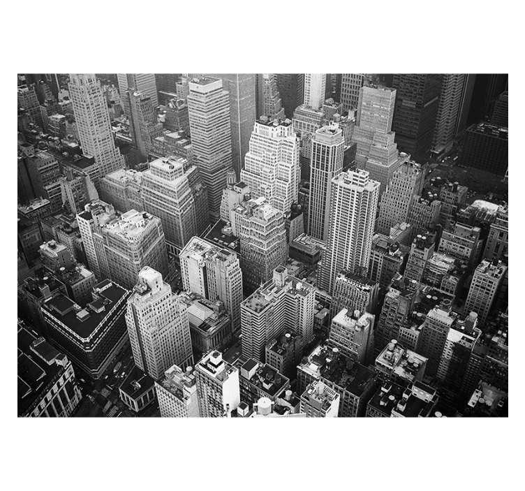 Rullgardin vardagsrum new york aerial svartvit - Tenstickers