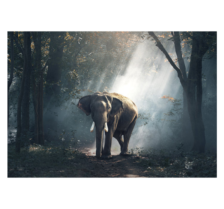 Rullgardin vardagsrum elefant i skogen - Tenstickers