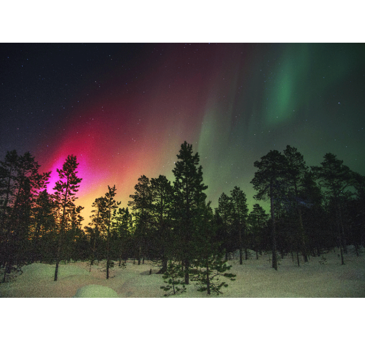 Rullgardin vardagsrum norrsken över träd - Tenstickers