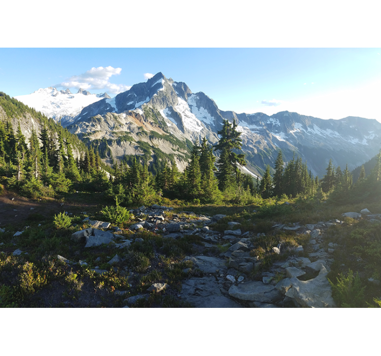 Rullgardin vardagsrum vacker fjällandskap - Tenstickers