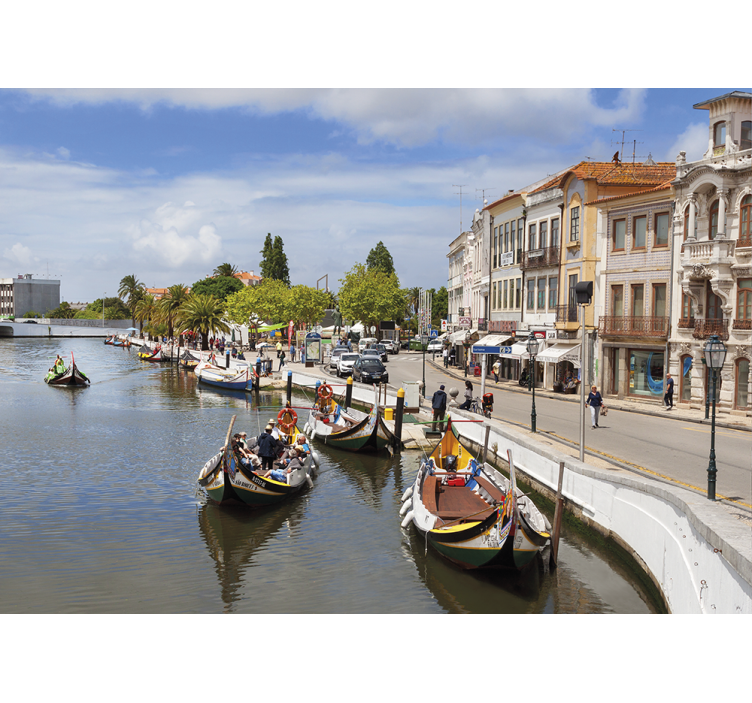 Rullgardin vardagsrum aveiro moliçeiro - Tenstickers