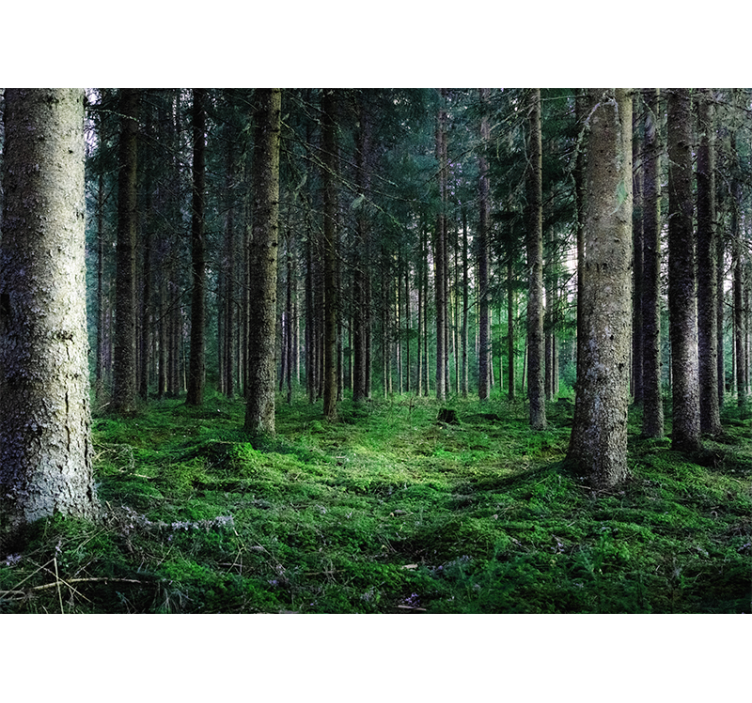 Rullgardin vardagsrum fuktig tropisk skog - Tenstickers
