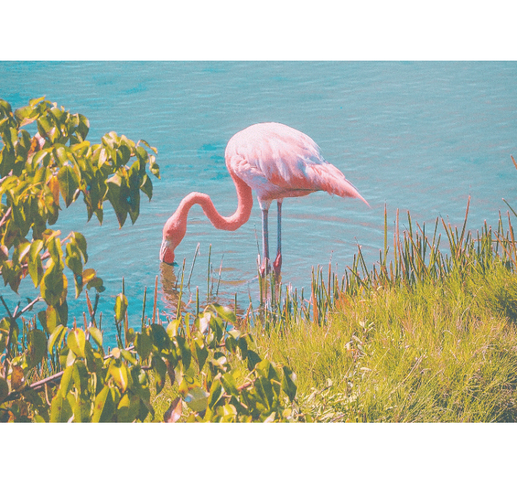 Rullgardin vardagsrum vacker flamingo vid vattnet - Tenstickers