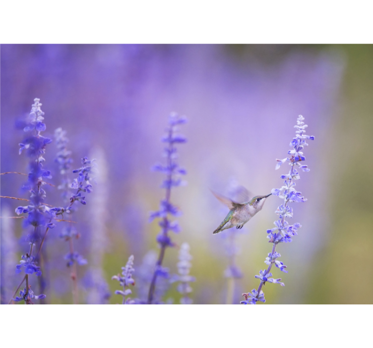 Rullgardin vardagsrum blommor med fågel - Tenstickers