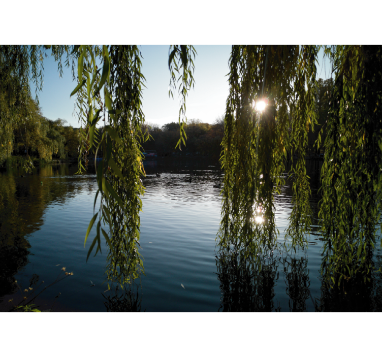 Rullgardin vardagsrum polska pilträd - Tenstickers