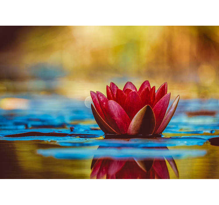 Rullgardin vardagsrum zen reflekterande lotusblomma - Tenstickers